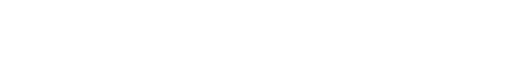 Linear Computing Inc.
